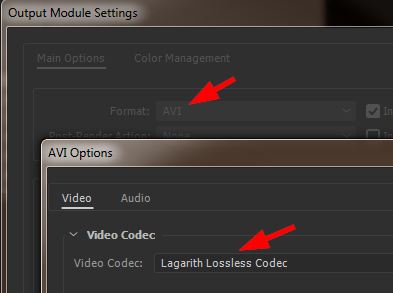 Lagarith Lossless Video Codec Export.jpg