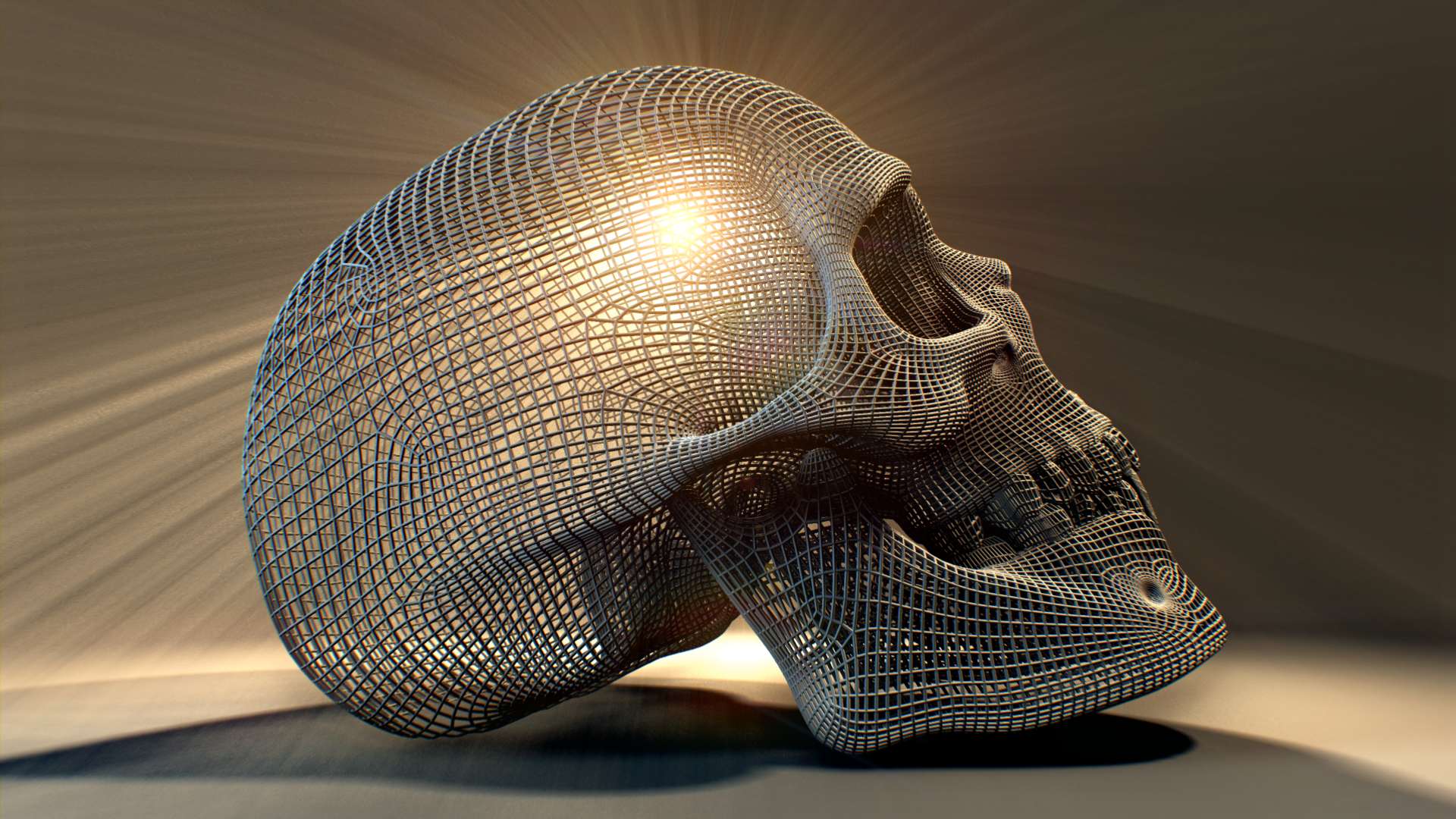 Skull Wireframe.jpg