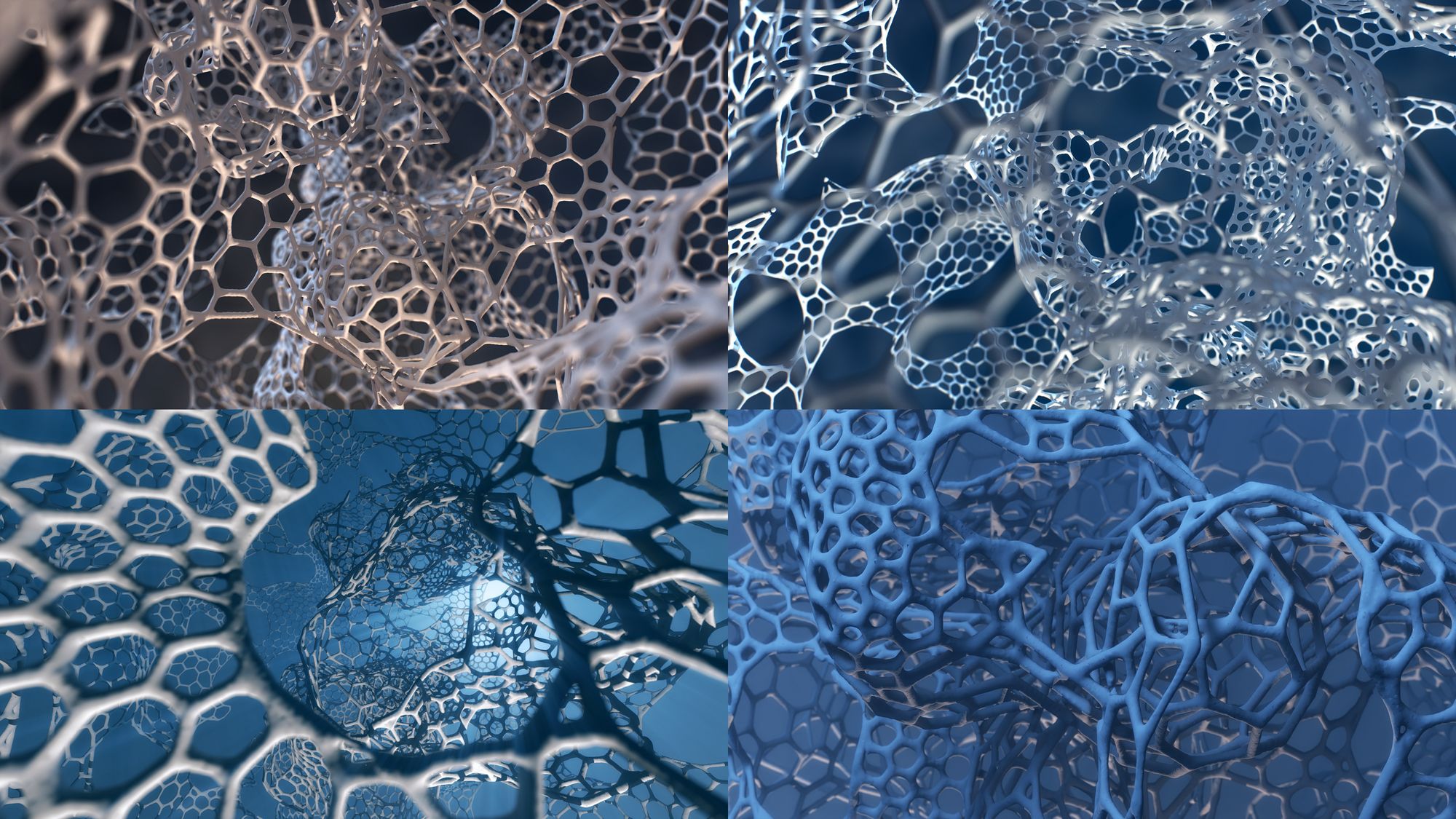 8K UHD Wallpapers Bone Web Structure.jpg