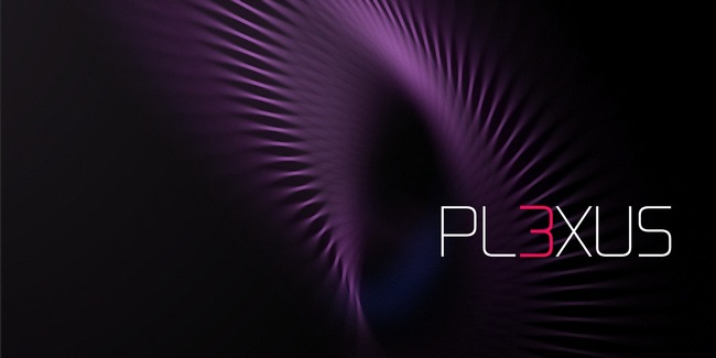Plexus 3.jpg